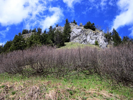 Foto: Andreas Koller / Wandertour / Kraxelspaß über der Kleinveitschalm (1628m) / 06.07.2023 13:15:25