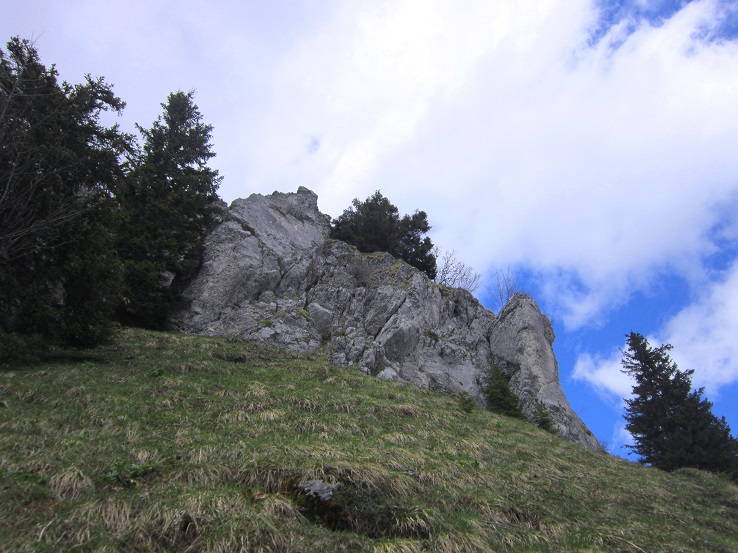 Foto: Andreas Koller / Wandertour / Kraxelspaß über der Kleinveitschalm (1628m) / 06.07.2023 13:15:06