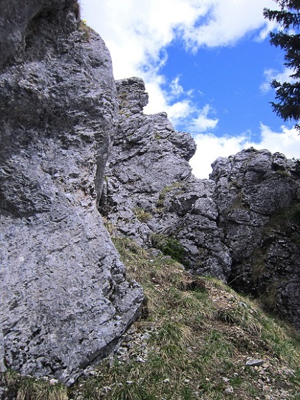 Foto: Andreas Koller / Wandertour / Kraxelspaß über der Kleinveitschalm (1628m) / Wandfuß / 06.07.2023 13:15:00