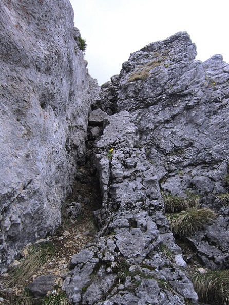 Foto: Andreas Koller / Wandertour / Kraxelspaß über der Kleinveitschalm (1628m) / Durch die Rinne geht's / 06.07.2023 13:14:49