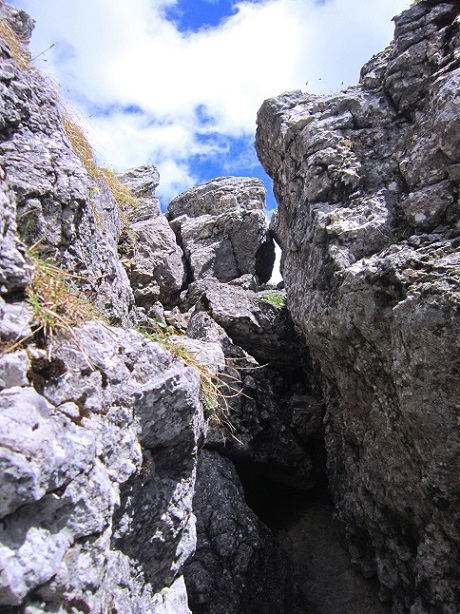Foto: Andreas Koller / Wandertour / Kraxelspaß über der Kleinveitschalm (1628m) / Letzter Aufschwung zum... / 06.07.2023 13:13:44