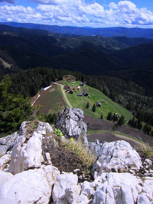 Foto: Andreas Koller / Wandertour / Kraxelspaß über der Kleinveitschalm (1628m) / ...zum Grat / 06.07.2023 13:13:24
