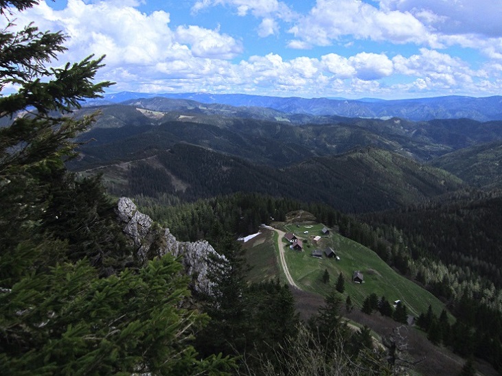 Foto: Andreas Koller / Wandertour / Kraxelspaß über der Kleinveitschalm (1628m) / 06.07.2023 13:12:02