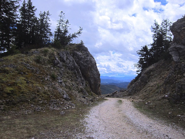 Foto: Andreas Koller / Wandertour / Kraxelspaß über der Kleinveitschalm (1628m) / Zurück am Güterweg / 06.07.2023 13:11:15
