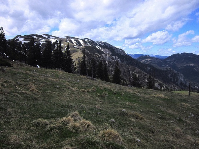 Foto: Andreas Koller / Wandertour / Kraxelspaß über der Kleinveitschalm (1628m) / 06.07.2023 13:10:47