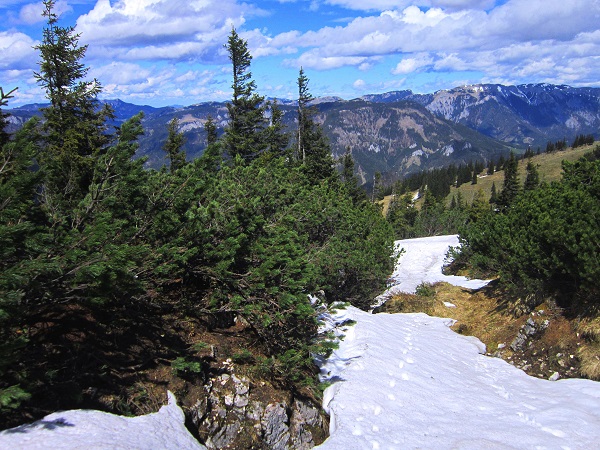 Foto: Andreas Koller / Wandertour / Kraxelspaß über der Kleinveitschalm (1628m) / 06.07.2023 13:09:24