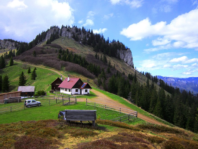 Foto: Andreas Koller / Wandertour / Kraxelspaß über der Kleinveitschalm (1628m) / Blick vom Blaskögerl zum Schoberstein / 06.07.2023 13:19:23