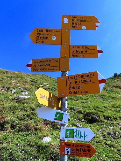Foto: Andreas Koller / Wandertour / Le Touno (3018m) / 08.07.2023 02:10:02