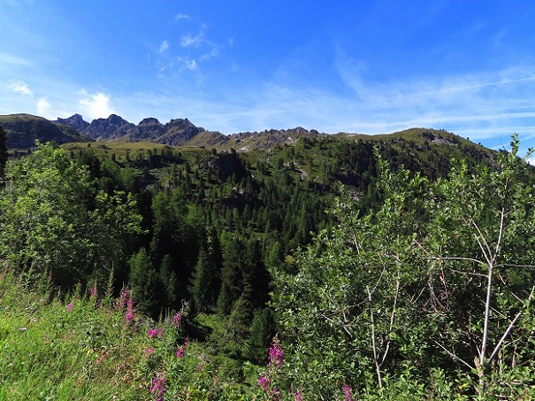 Foto: Andreas Koller / Wandertour / Le Touno (3018m) / 08.07.2023 02:09:52
