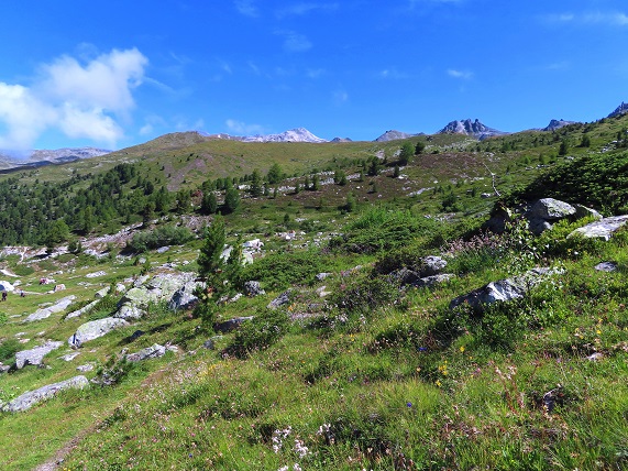 Foto: Andreas Koller / Wandertour / Le Touno (3018m) / 08.07.2023 02:09:26