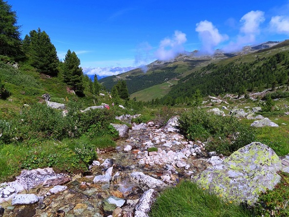 Foto: Andreas Koller / Wandertour / Le Touno (3018m) / 08.07.2023 02:09:21