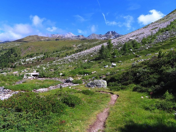 Foto: Andreas Koller / Wandertour / Le Touno (3018m) / 08.07.2023 02:09:10