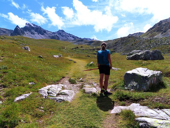 Foto: Andreas Koller / Wandertour / Le Touno (3018m) / 08.07.2023 02:08:36