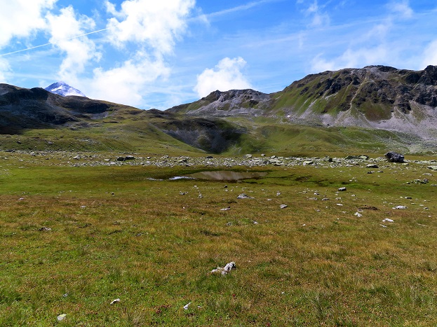 Foto: Andreas Koller / Wandertour / Le Touno (3018m) / 08.07.2023 02:08:10