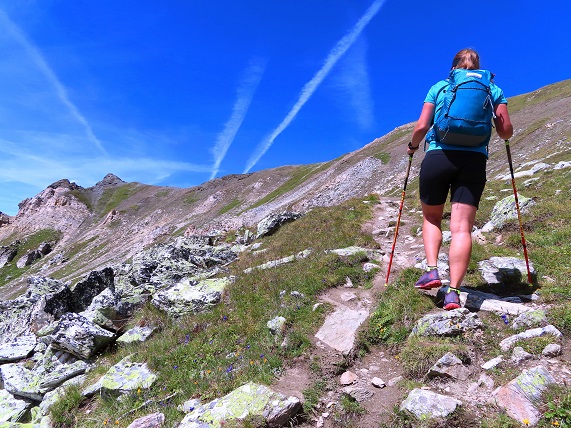 Foto: Andreas Koller / Wandertour / Le Touno (3018m) / 08.07.2023 02:07:12