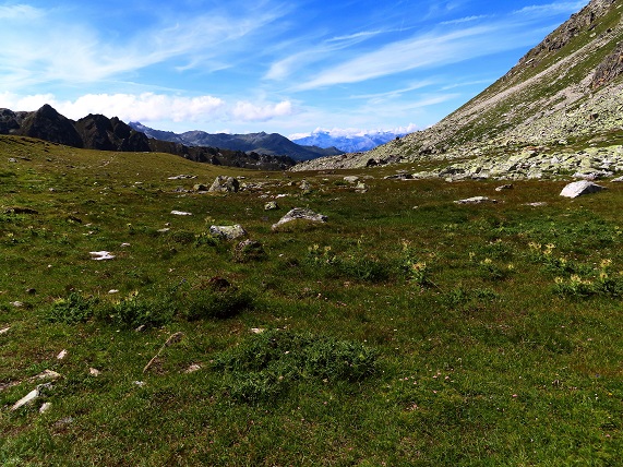 Foto: Andreas Koller / Wandertour / Le Touno (3018m) / 08.07.2023 02:02:01