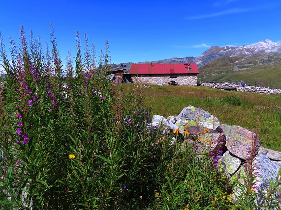 Foto: Andreas Koller / Wandertour / Le Touno (3018m) / 08.07.2023 02:01:21