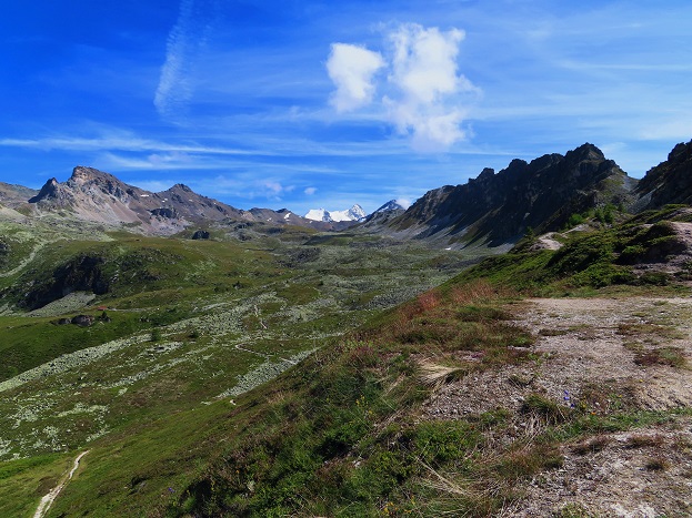 Foto: Andreas Koller / Wandertour / Le Touno (3018m) / 08.07.2023 02:00:59