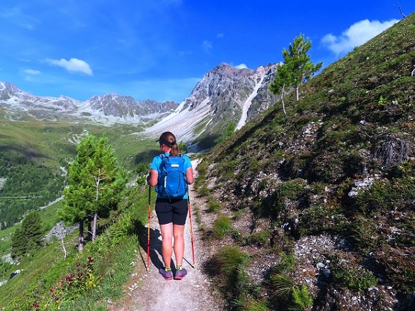 Foto: Andreas Koller / Wandertour / Le Touno (3018m) / 08.07.2023 01:58:10
