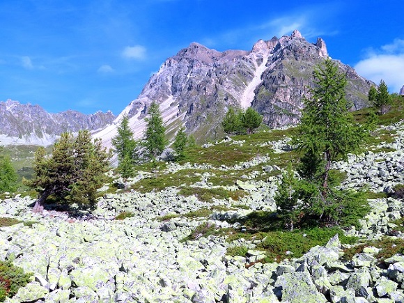 Foto: Andreas Koller / Wandertour / Le Touno (3018m) / 08.07.2023 01:58:02