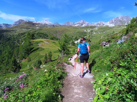 Foto: Andreas Koller / Wandertour / Le Touno (3018m) / 08.07.2023 01:57:47