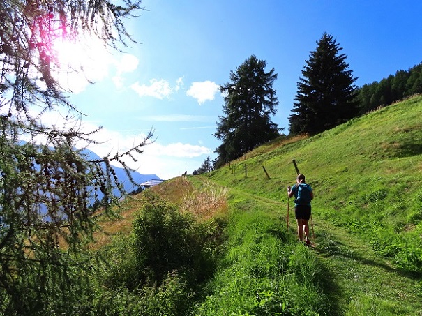 Foto: Andreas Koller / Wandertour / Le Touno (3018m) / 08.07.2023 01:56:31