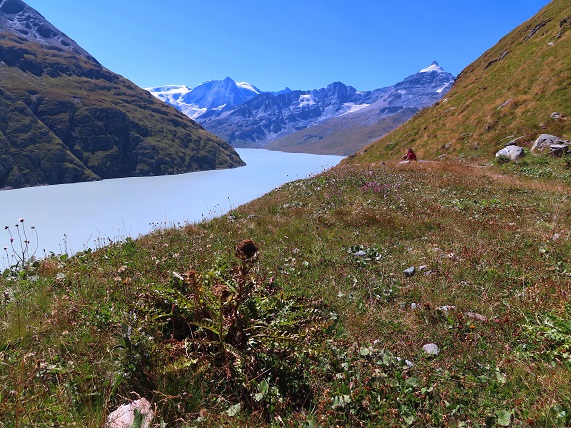 Foto: Andreas Koller / Wandertour / Lac des Dix und Mont Blava (2932m) / 12.08.2023 00:59:37