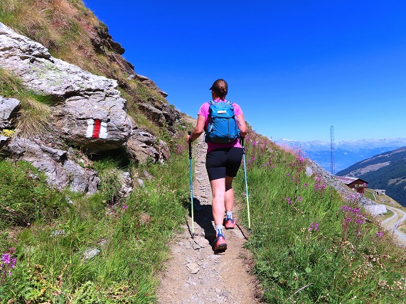 Foto: Andreas Koller / Wandertour / Lac des Dix und Mont Blava (2932m) / 12.08.2023 00:59:32