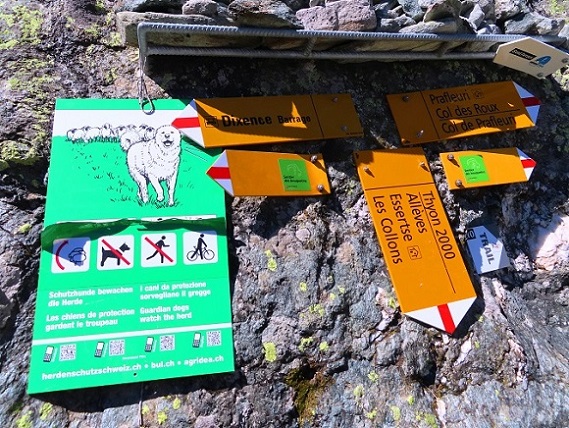 Foto: Andreas Koller / Wandertour / Lac des Dix und Mont Blava (2932m) / Herdenschutz mit Herdenschutzhunden funktioniert auch im Hochgebirge!!! / 12.08.2023 00:59:10