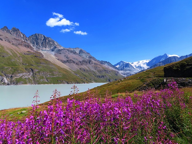Foto: Andreas Koller / Wandertour / Lac des Dix und Mont Blava (2932m) / Lac des Dix / 12.08.2023 01:01:23