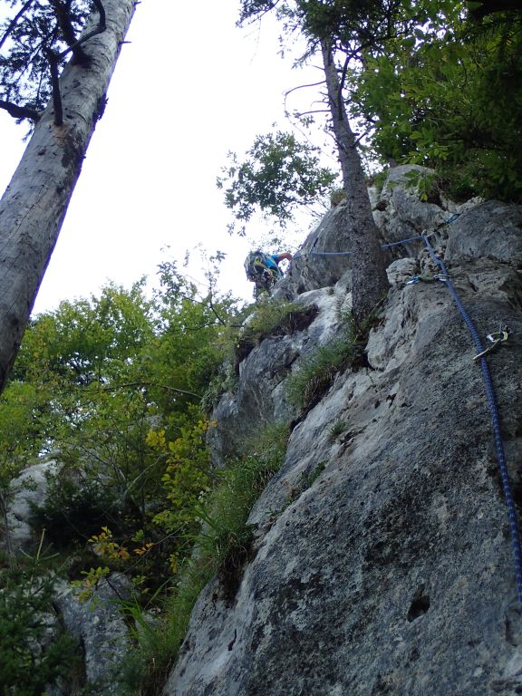 Foto: Manfred Karl / Klettertour / Plombergstein Haasipfeiler oder Hasipfeiler / Kurz vor der Abzweigung des Haasipfeilers / 23.08.2023 20:05:58
