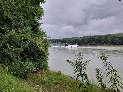 Foto: Rupert Gredler / Wandertour / Von Orth an der Donau nach Eckartsau und retour / Der Donau entlang. / 31.08.2023 18:53:18