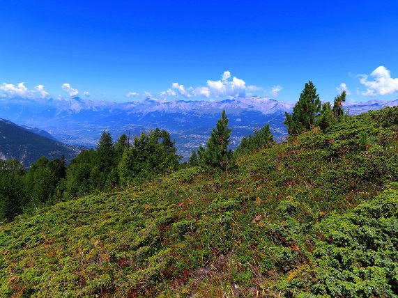 Foto: Andreas Koller / Wandertour / Illhorn - Aussichtskanzel über dem Rhonetal (2717m) / 08.09.2023 00:48:32
