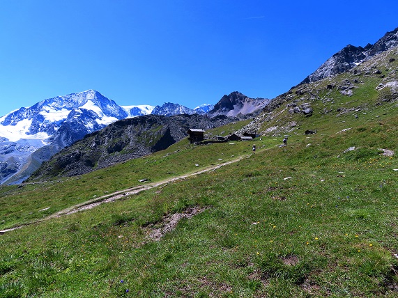 Foto: Andreas Koller / Wandertour / Mont de lŽEtoile (3370m) / 23.09.2023 21:18:05