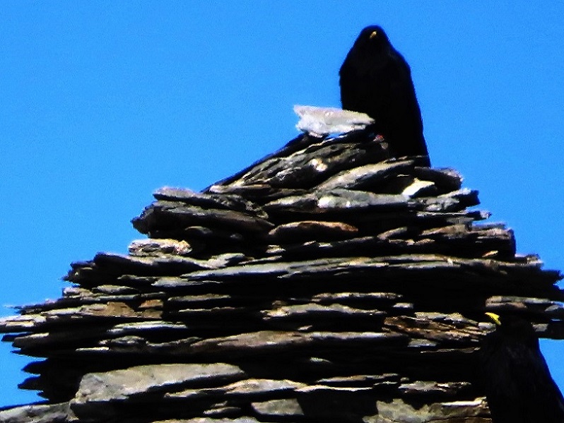 Foto: Andreas Koller / Wandertour / Mont de lŽEtoile (3370m) / Der Steinmann ist schon besetzt! / 23.09.2023 21:11:30