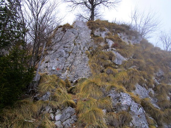 Foto: Andreas Koller / Klettersteigtour / Monte Boccaor auf der Via ferrata Sass Brusai (1531m) / 25.10.2023 01:08:24