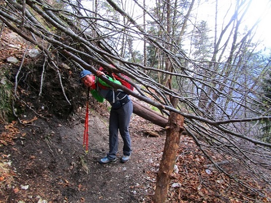 Foto: Andreas Koller / Klettersteigtour / Monte Boccaor auf der Via ferrata Sass Brusai (1531m) / 25.10.2023 01:05:16