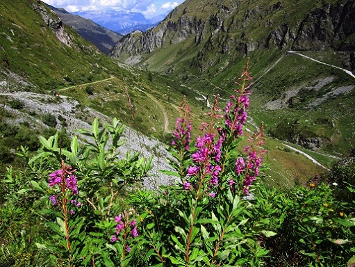 Foto: Andreas Koller / Klettersteigtour / Via ferrata de Moiry (2315m) / 14.11.2023 01:08:47