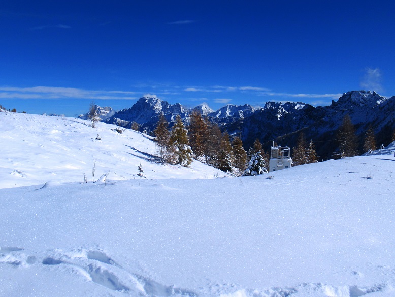 Foto: Andreas Koller / Wandertour / Monte Pradazzo - Allwettertour über dem Passo Valles (2281m) / 06.12.2023 01:34:39