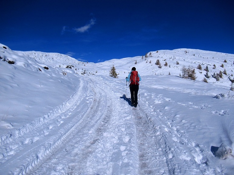 Foto: Andreas Koller / Wandertour / Monte Pradazzo - Allwettertour über dem Passo Valles (2281m) / 06.12.2023 01:34:24
