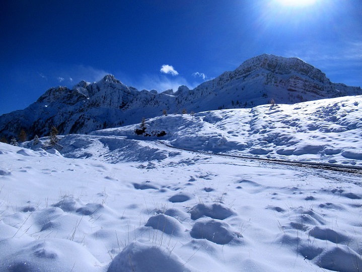 Foto: Andreas Koller / Wandertour / Monte Pradazzo - Allwettertour über dem Passo Valles (2281m) / 06.12.2023 01:34:18