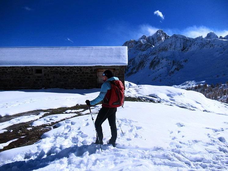 Foto: Andreas Koller / Wandertour / Monte Pradazzo - Allwettertour über dem Passo Valles (2281m) / Malga Pradazzo / 06.12.2023 01:34:13