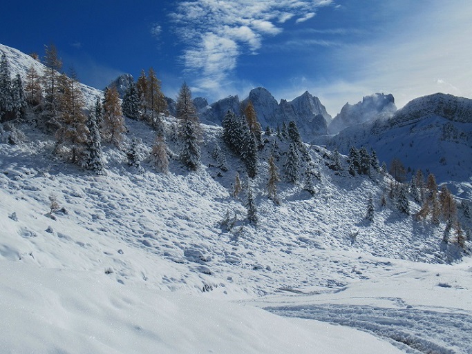 Foto: Andreas Koller / Wandertour / Monte Pradazzo - Allwettertour über dem Passo Valles (2281m) / 06.12.2023 01:33:13