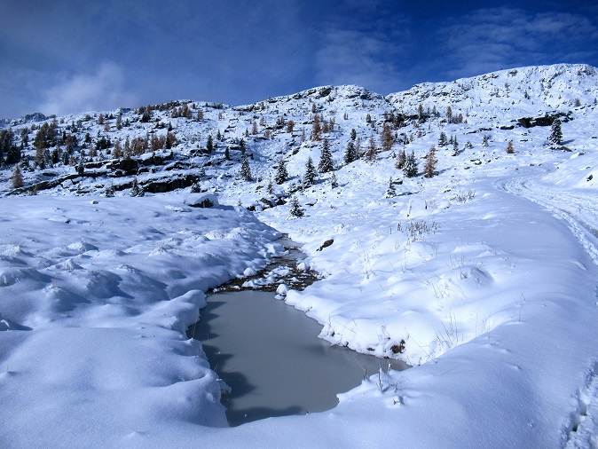 Foto: Andreas Koller / Wandertour / Monte Pradazzo - Allwettertour über dem Passo Valles (2281m) / 06.12.2023 01:33:08