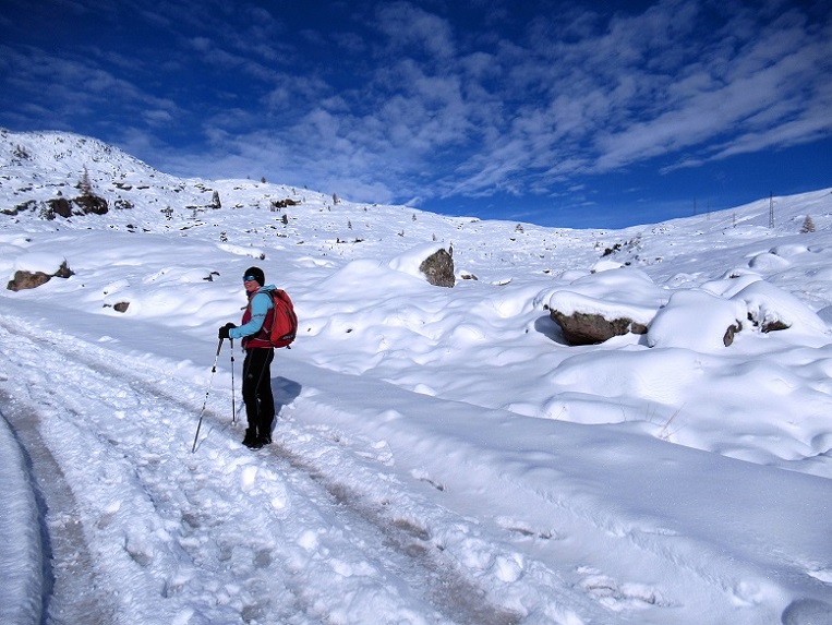 Foto: Andreas Koller / Wandertour / Monte Pradazzo - Allwettertour über dem Passo Valles (2281m) / 06.12.2023 01:33:03