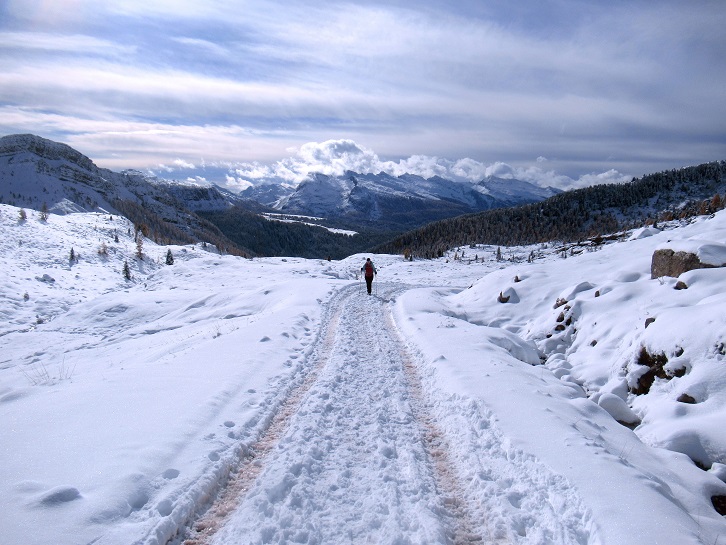 Foto: Andreas Koller / Wandertour / Monte Pradazzo - Allwettertour über dem Passo Valles (2281m) / 06.12.2023 01:32:49