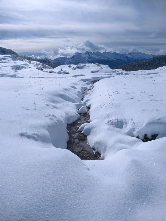 Foto: Andreas Koller / Wandertour / Monte Pradazzo - Allwettertour über dem Passo Valles (2281m) / 06.12.2023 01:32:44
