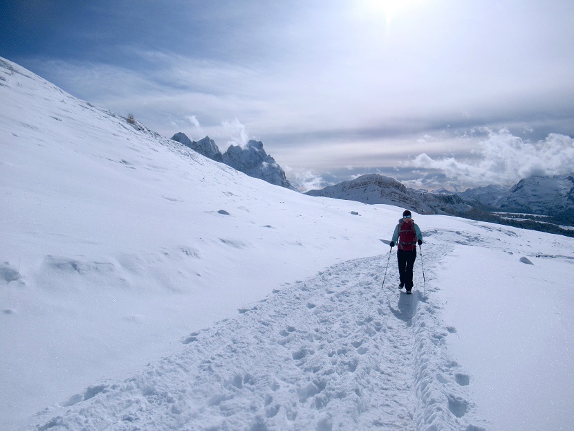 Foto: Andreas Koller / Wandertour / Monte Pradazzo - Allwettertour über dem Passo Valles (2281m) / 06.12.2023 01:32:35