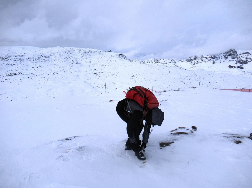 Foto: Andreas Koller / Wandertour / Monte Pradazzo - Allwettertour über dem Passo Valles (2281m) / 06.12.2023 01:30:27
