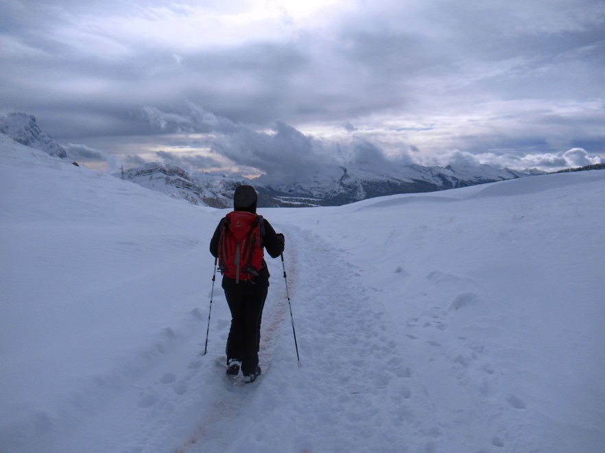 Foto: Andreas Koller / Wandertour / Monte Pradazzo - Allwettertour über dem Passo Valles (2281m) / Abstieg vom Monte Pradazzo / 06.12.2023 01:29:51